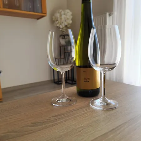 Sloneczna Perla Apartment Ostroda